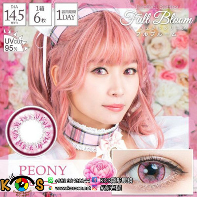 PerfectSeries 1Day Full Bloom Peony パーフェクトシリーズワンデー フルブルーム ピオニー PerfectSeries 1Day Full Bloom Peony パーフェクトシリーズワンデー フルブルーム ピオニー